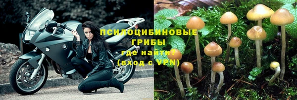 Альфа ПВП Нея