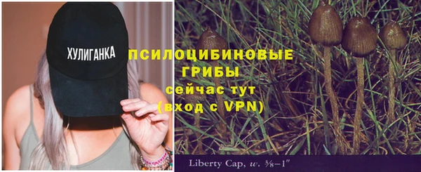 Альфа ПВП Нея