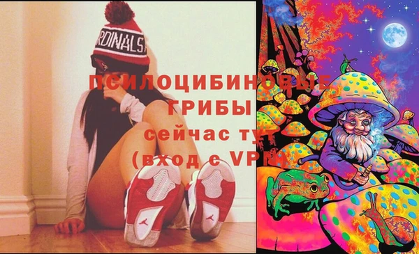 Альфа ПВП Нея