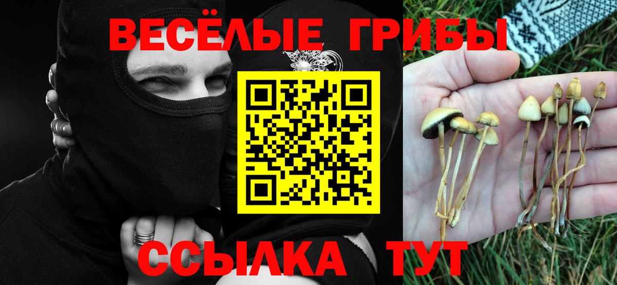 Галлюциногенные грибы Magic Shrooms  Псилоцибиновые грибы MAGIC MUSHROOMS  Нефтеюганск  Вход с VPN 