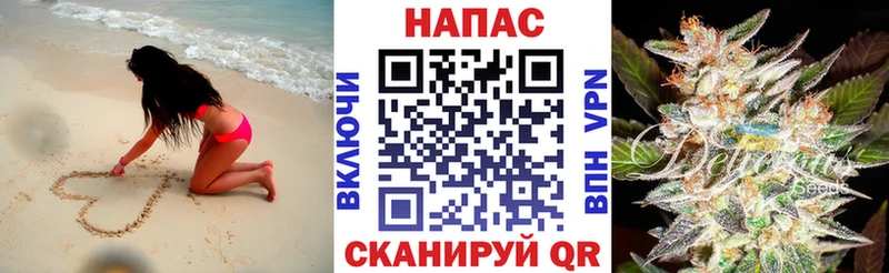 хочу   Нефтеюганск  Конопля семена 